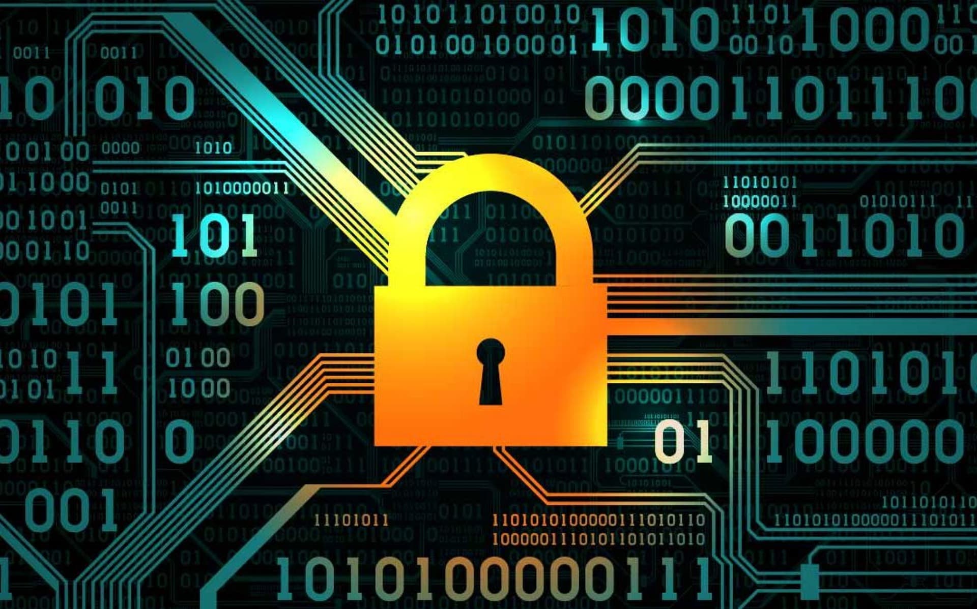 Fraud Information