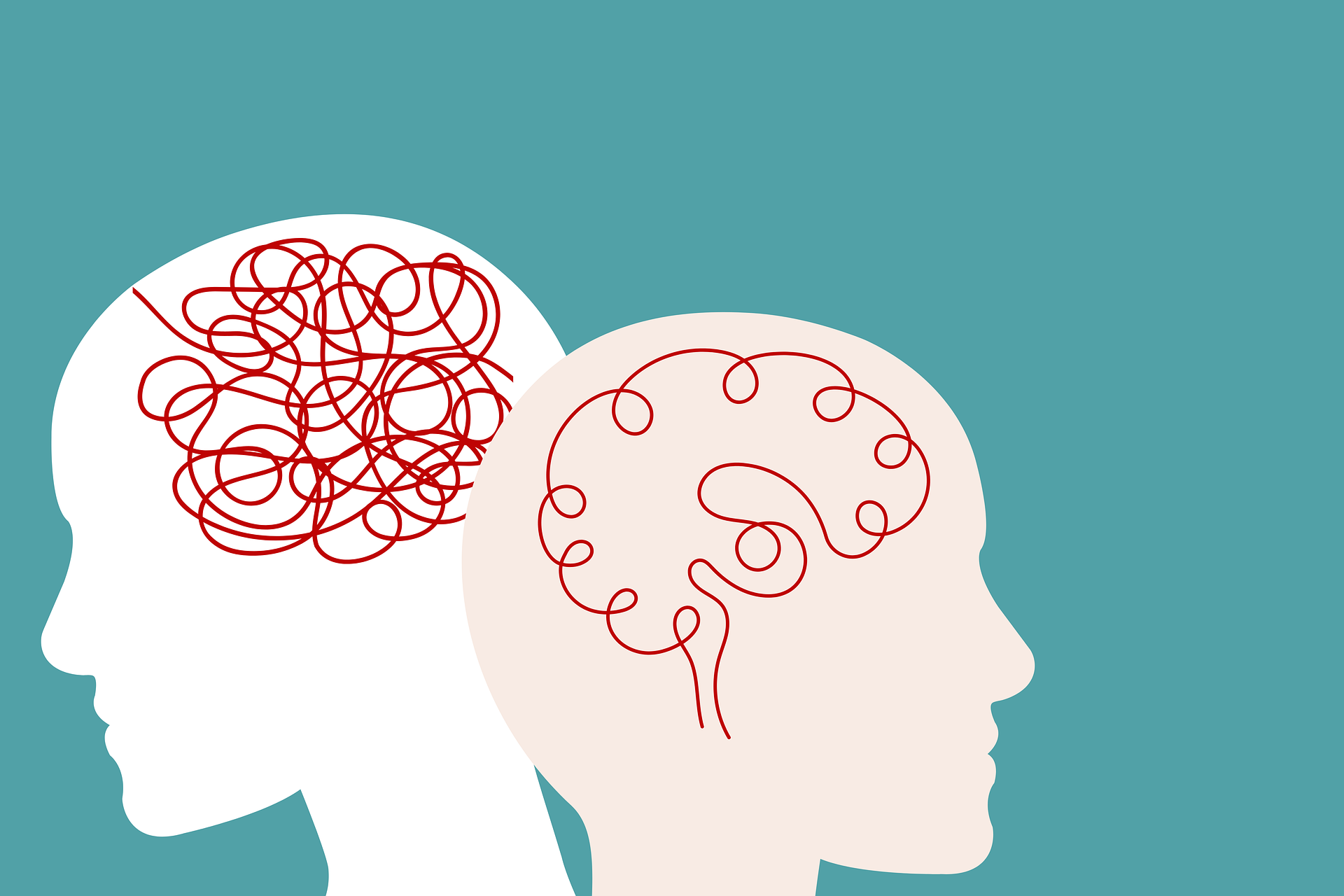 Schizophrenia, Borderline, & Other Resources
