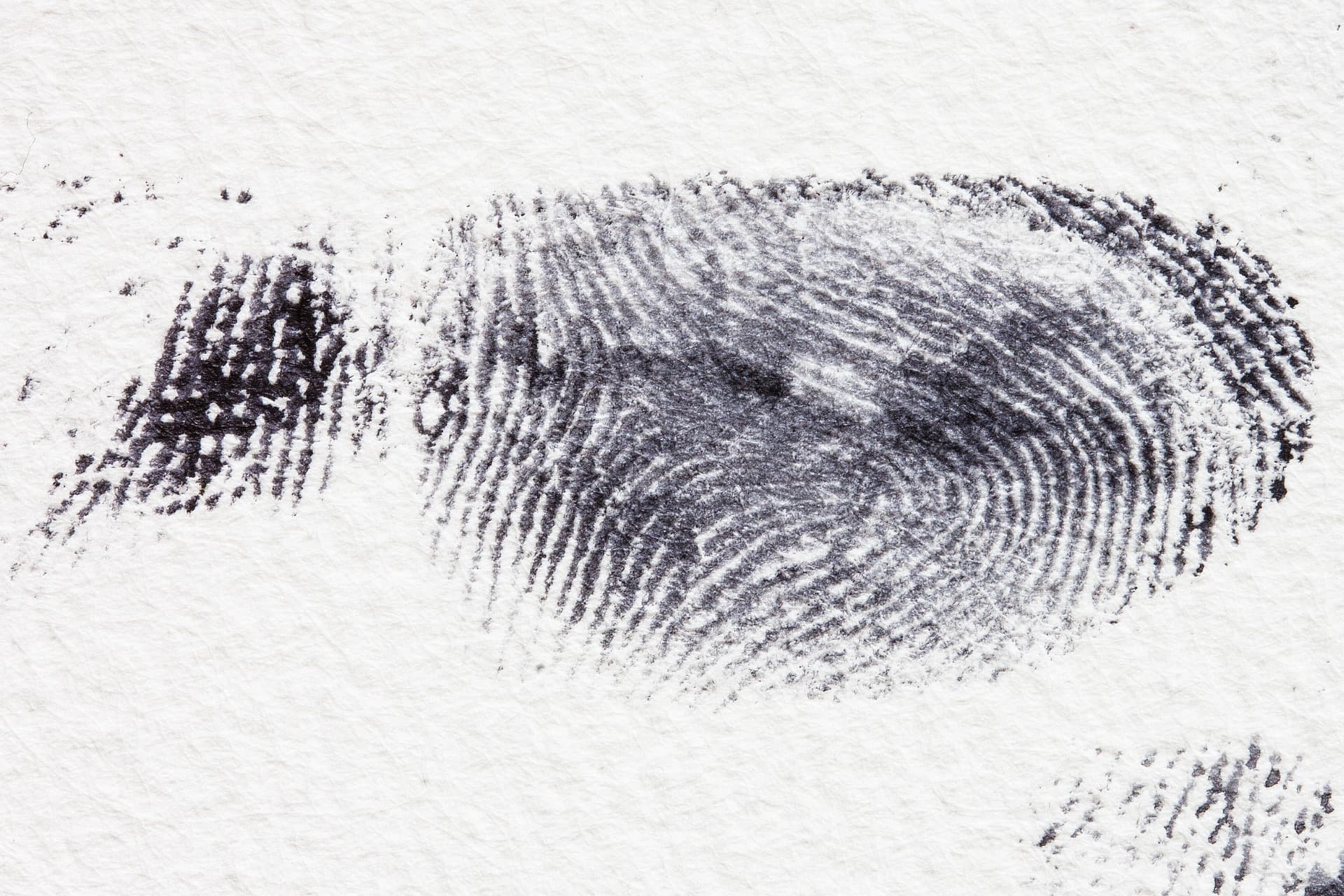 fingerprint